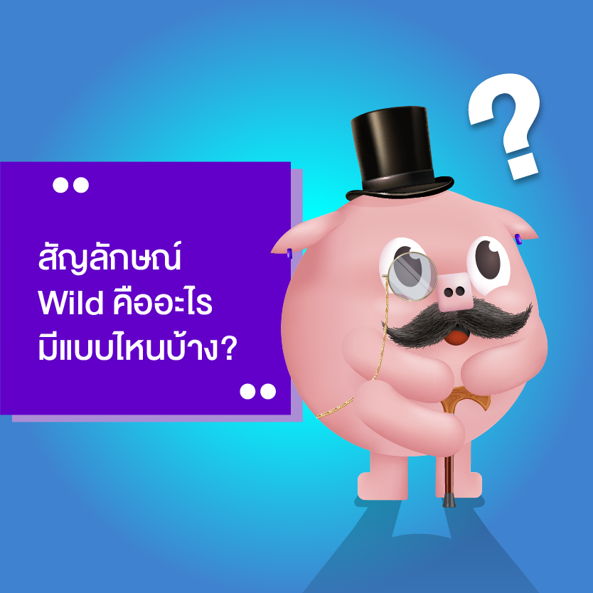 สัญลักษณ์ Wild slotpg